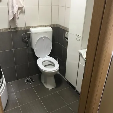 Basa *